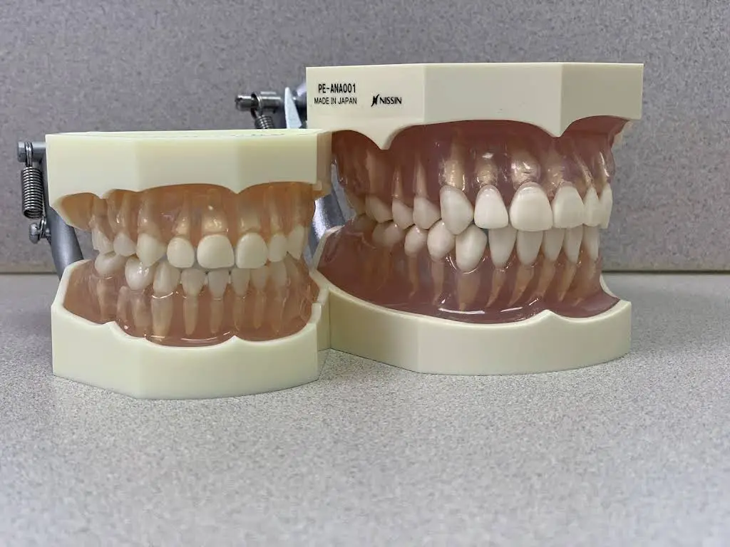 Hartland Dental Care: Michael Sesi, DDS