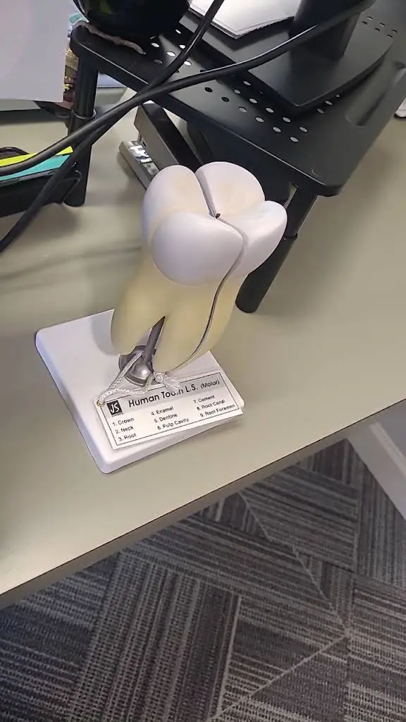 Princess City Dental