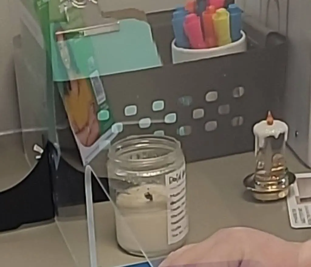 Princess City Dental