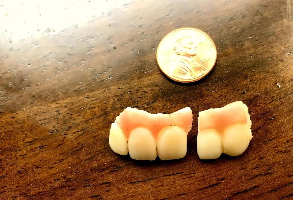 Adam Fienman, DDS