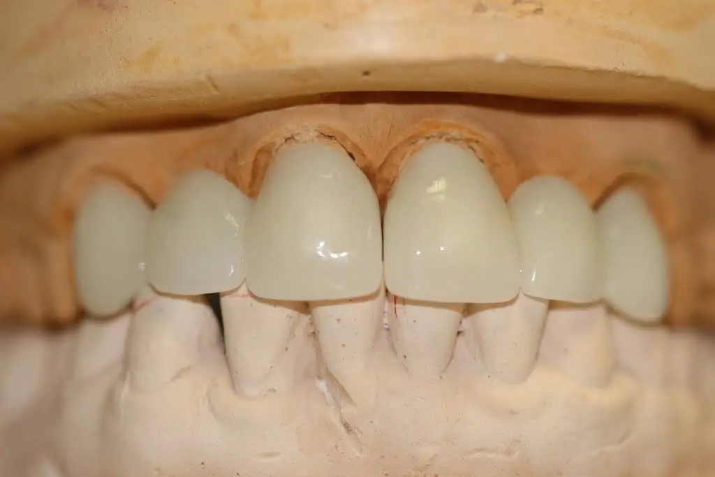 Flossophy Dental Boutique