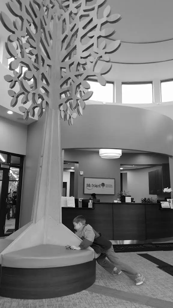 Olde Orchard Pediatric Dentistry & Orthodontic