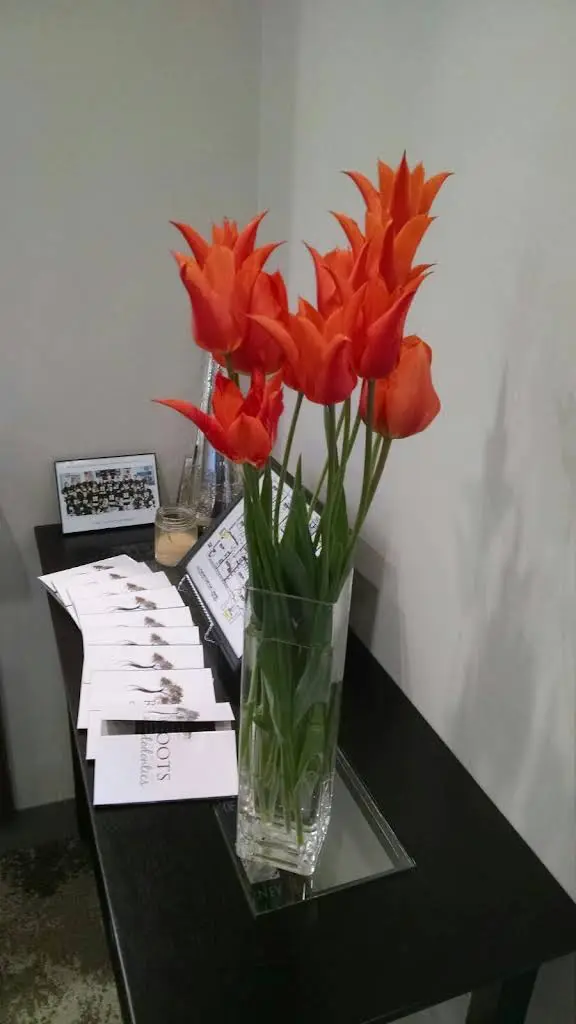 Roots Endodontics
