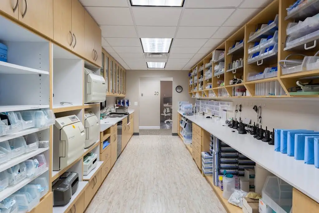 Provident Dentistry - Novi