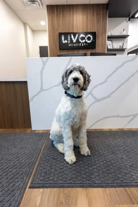 LIVCO. Dentistry