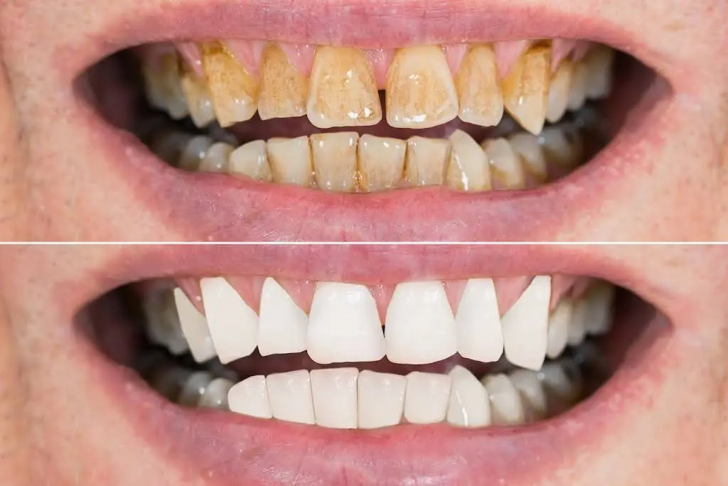 Wallaceburg Dental Centre