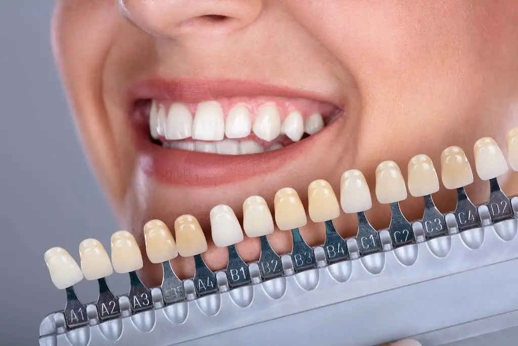 Chatham Family Dental