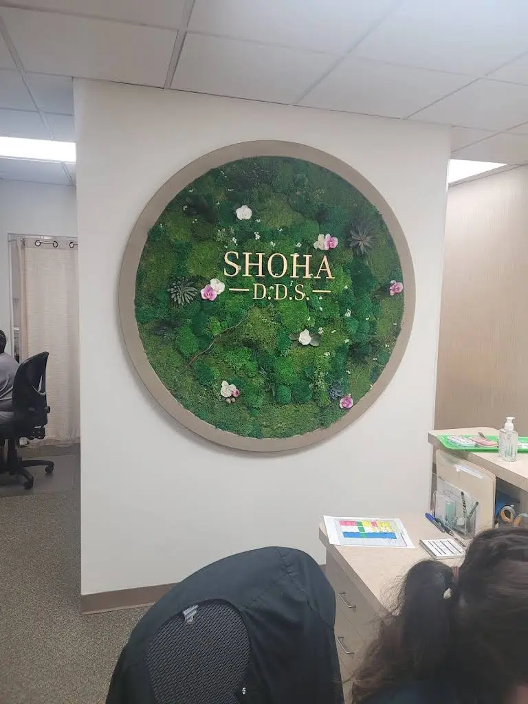 Bio Dentistry MI - Sue Shoha, DDS, Tongue Tie and Airway Center of Michigan