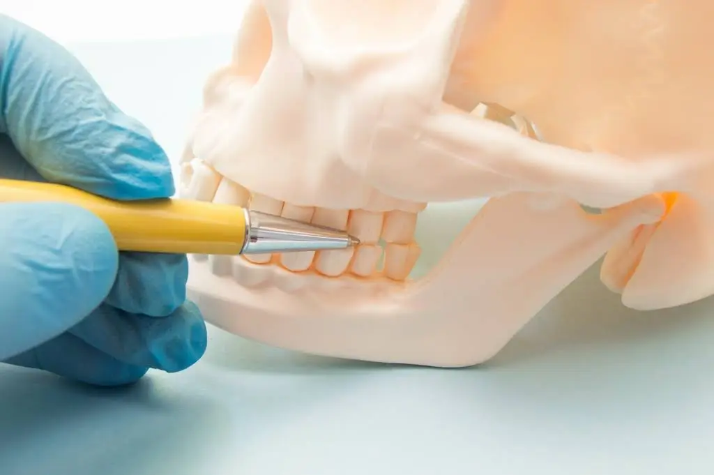 Michigan Dental Specialists