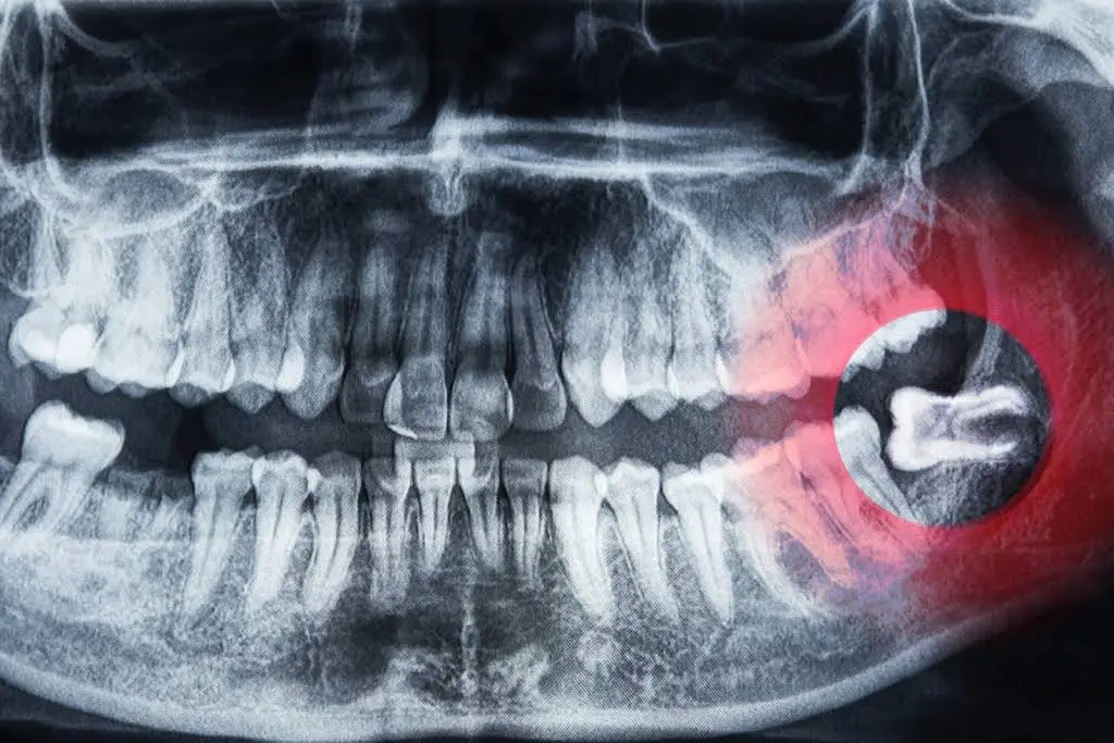 Michigan Dental Specialists