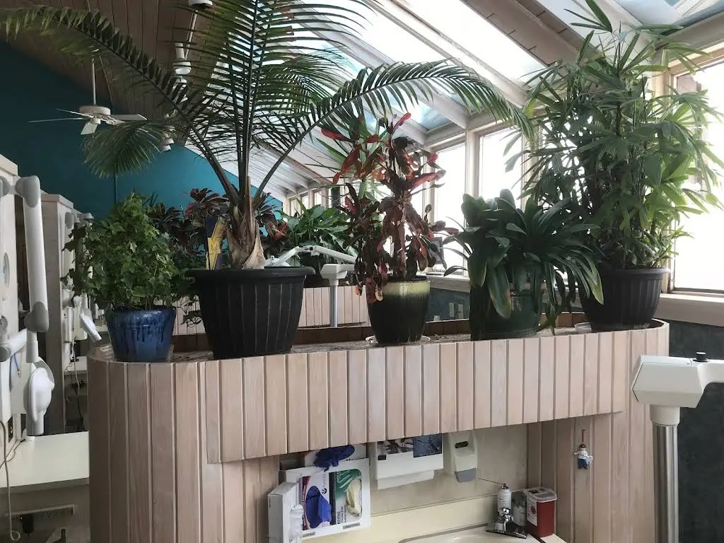Leske Dental