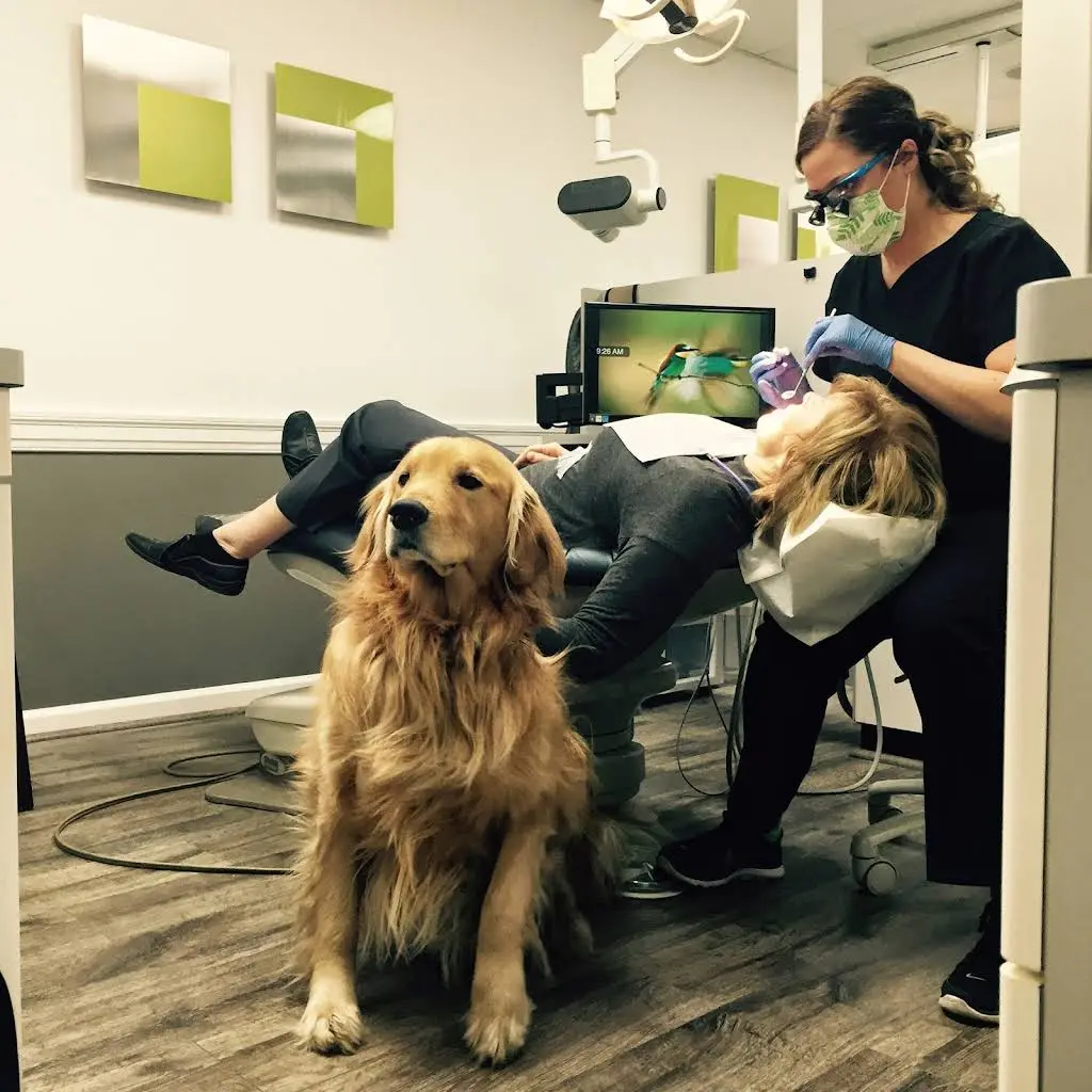 Ann Arbor's Dentist