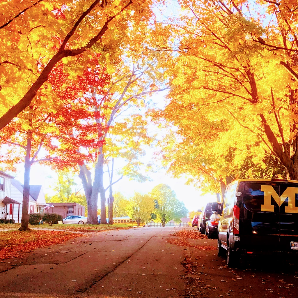 Ann Arbor's Dentist