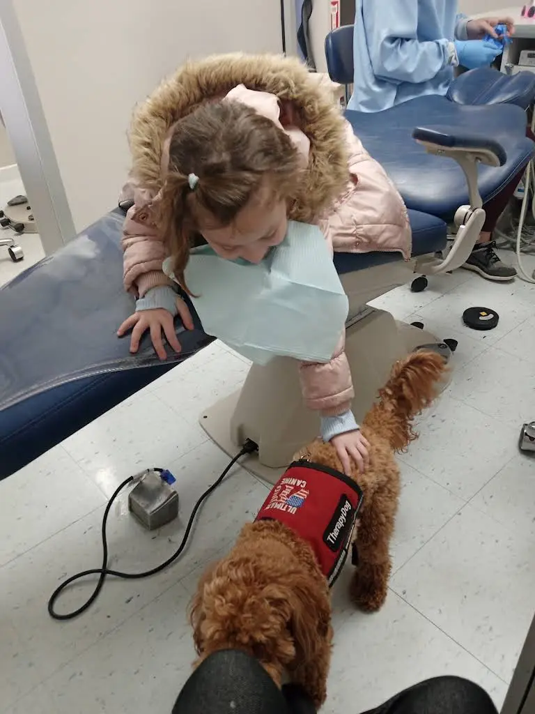Tree Town Pediatric Dentistry