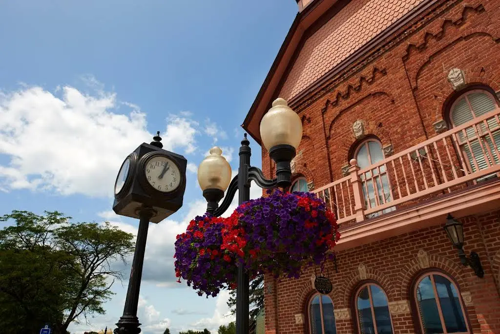 Oral & Facial Surgeons of Michigan
