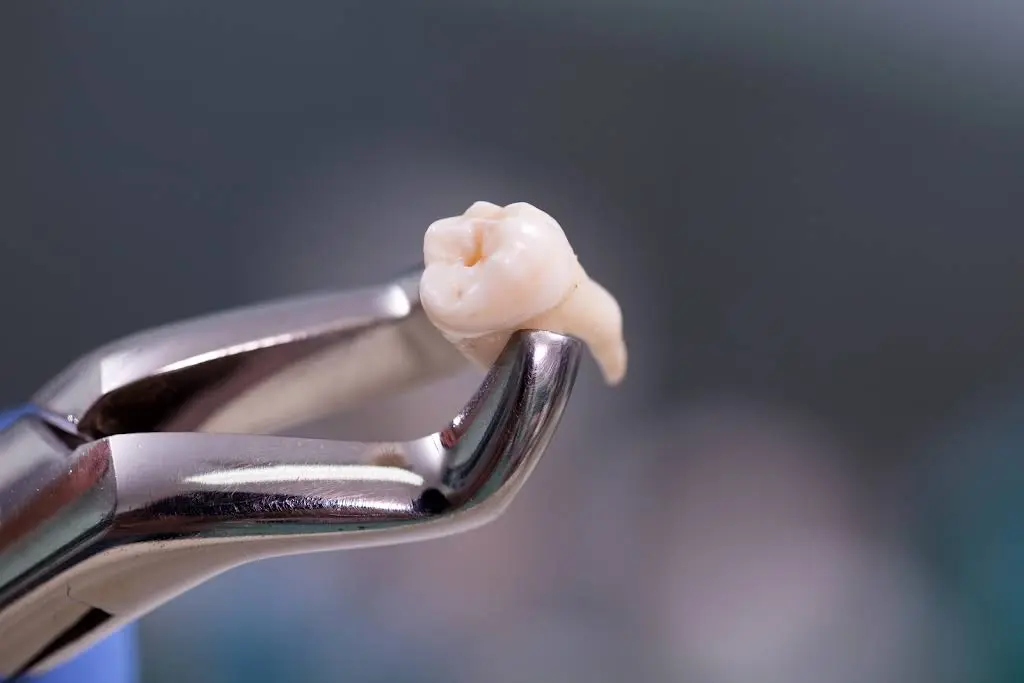 Newbury Dental Care