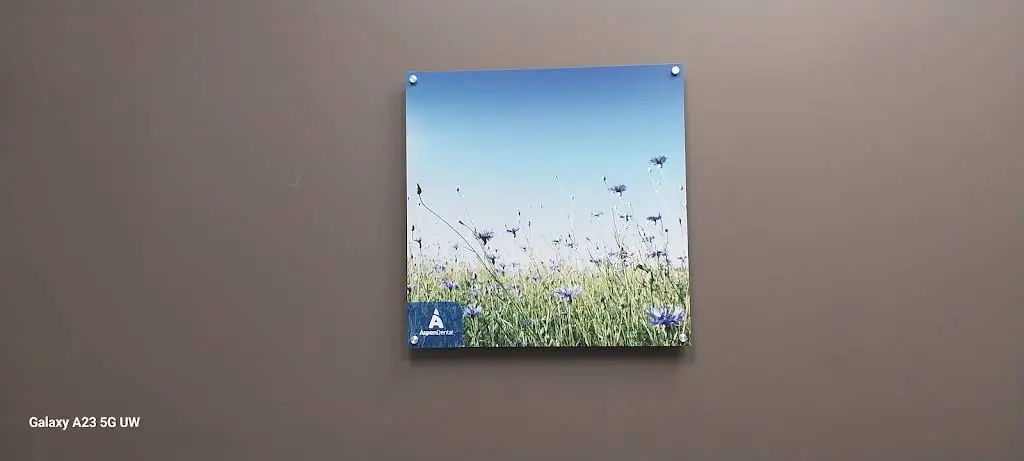 Aspen Dental