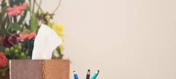 Apex Dental Studio