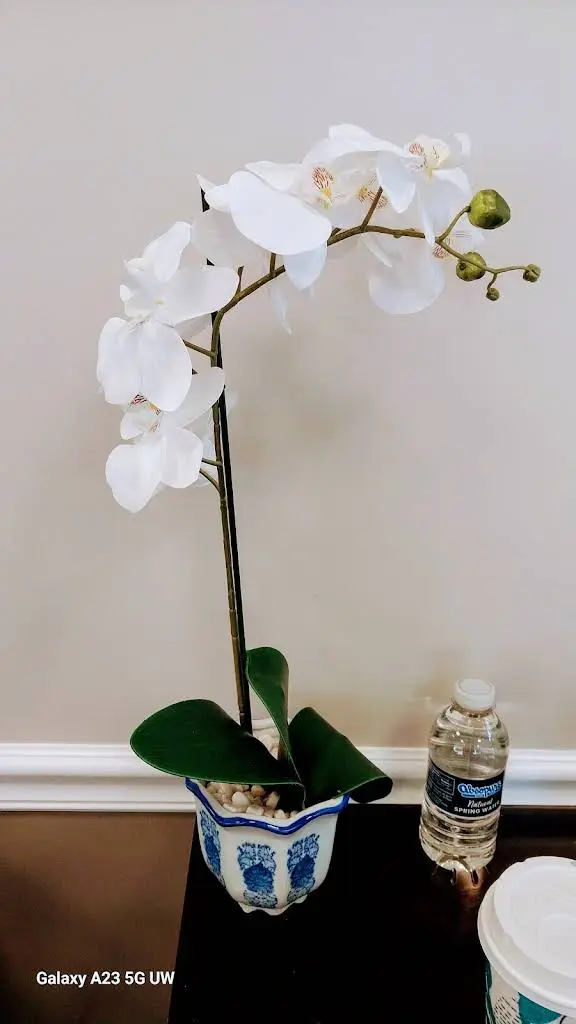 Redwood Dental Farmington