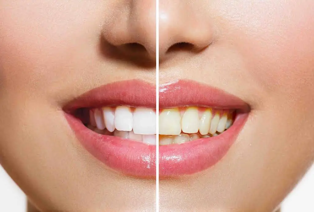 Alba Dental Centre