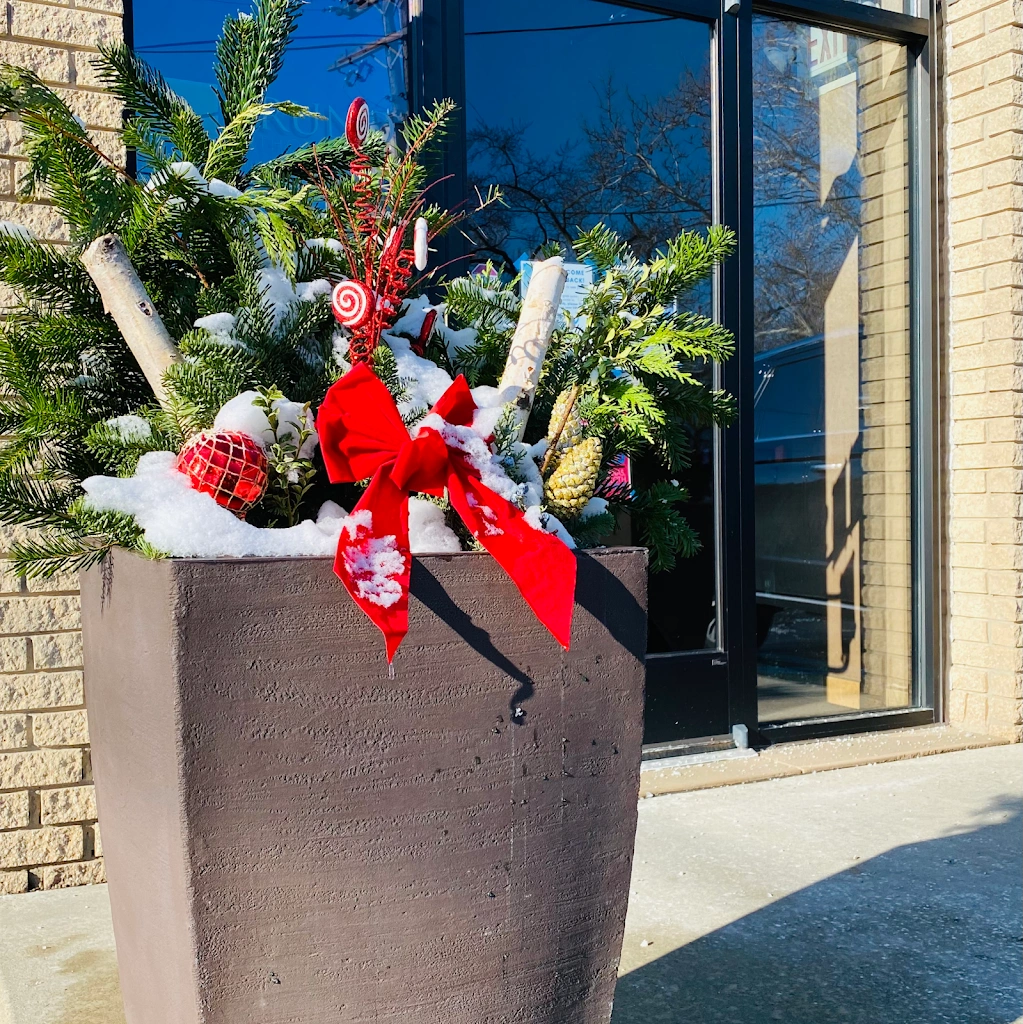 Clawson Orthodontics