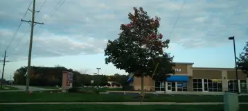 Aspen Dental