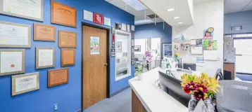 Pesis Dental Group