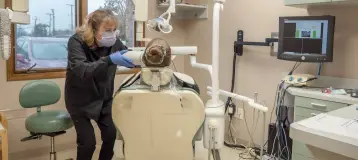 Kelly Road Dental Care