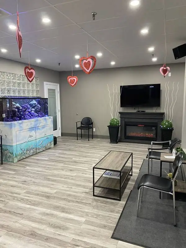 St. Clair Beach Dental Centre - Tecumseh
