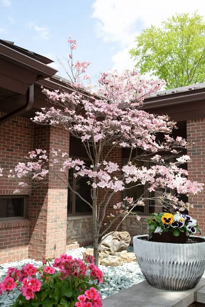 Livonia Family Dental Center