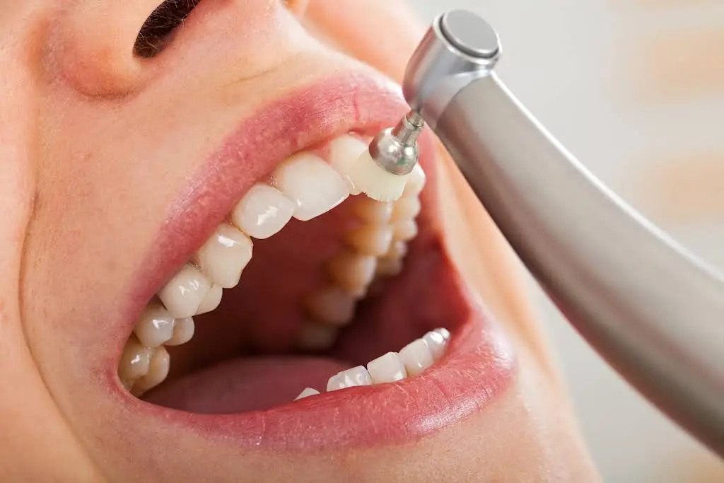 Forest Glade Dental Centre - Dr Elizabeth Taleski & Associates