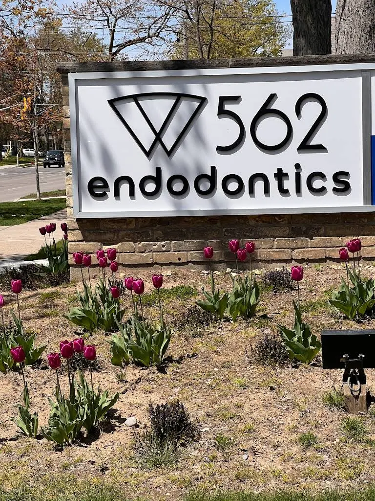 562 Endodontics