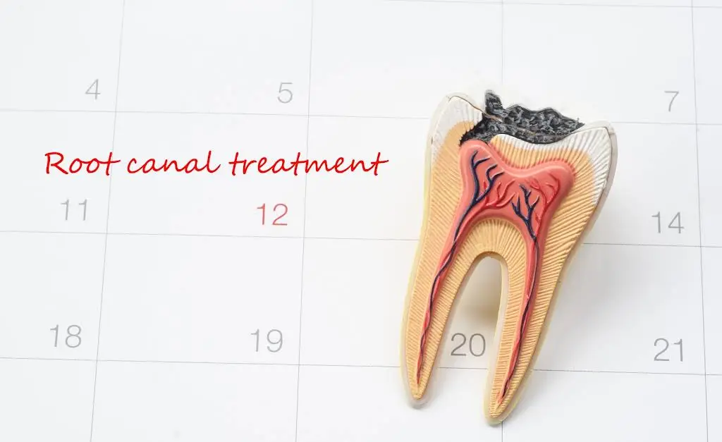 Tulips Dental Centre