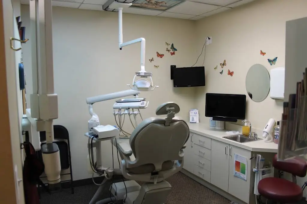 Canton Dentists: Drs. Greenbaum, Timpner, Watkins, & Hadidi