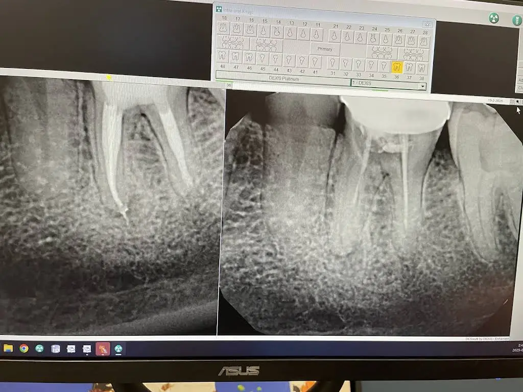 Forest City Endodontics