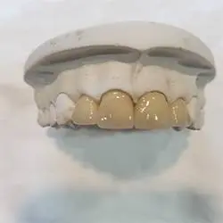 Livernois Dental Care