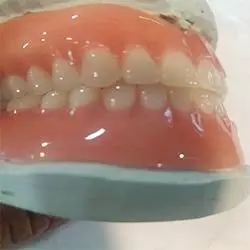 Livernois Dental Care