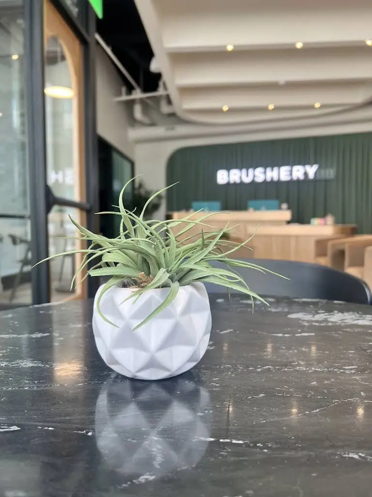 Brushery