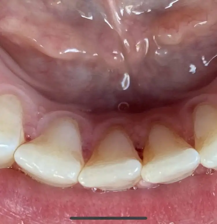 Alpha Dental Center