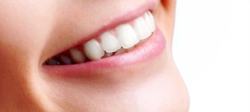 Midgley Dental