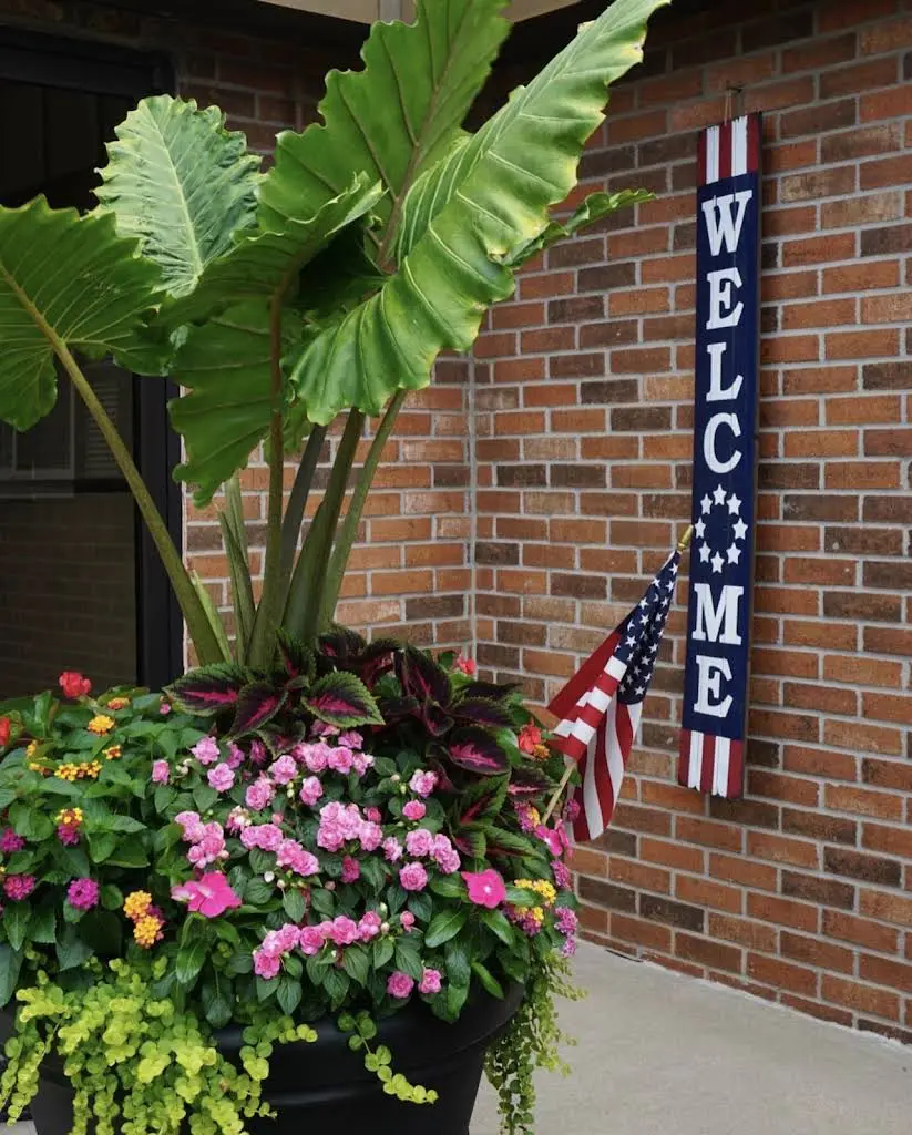Monroe Family Dentistry
