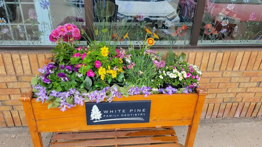 White Pine Family Dentistry