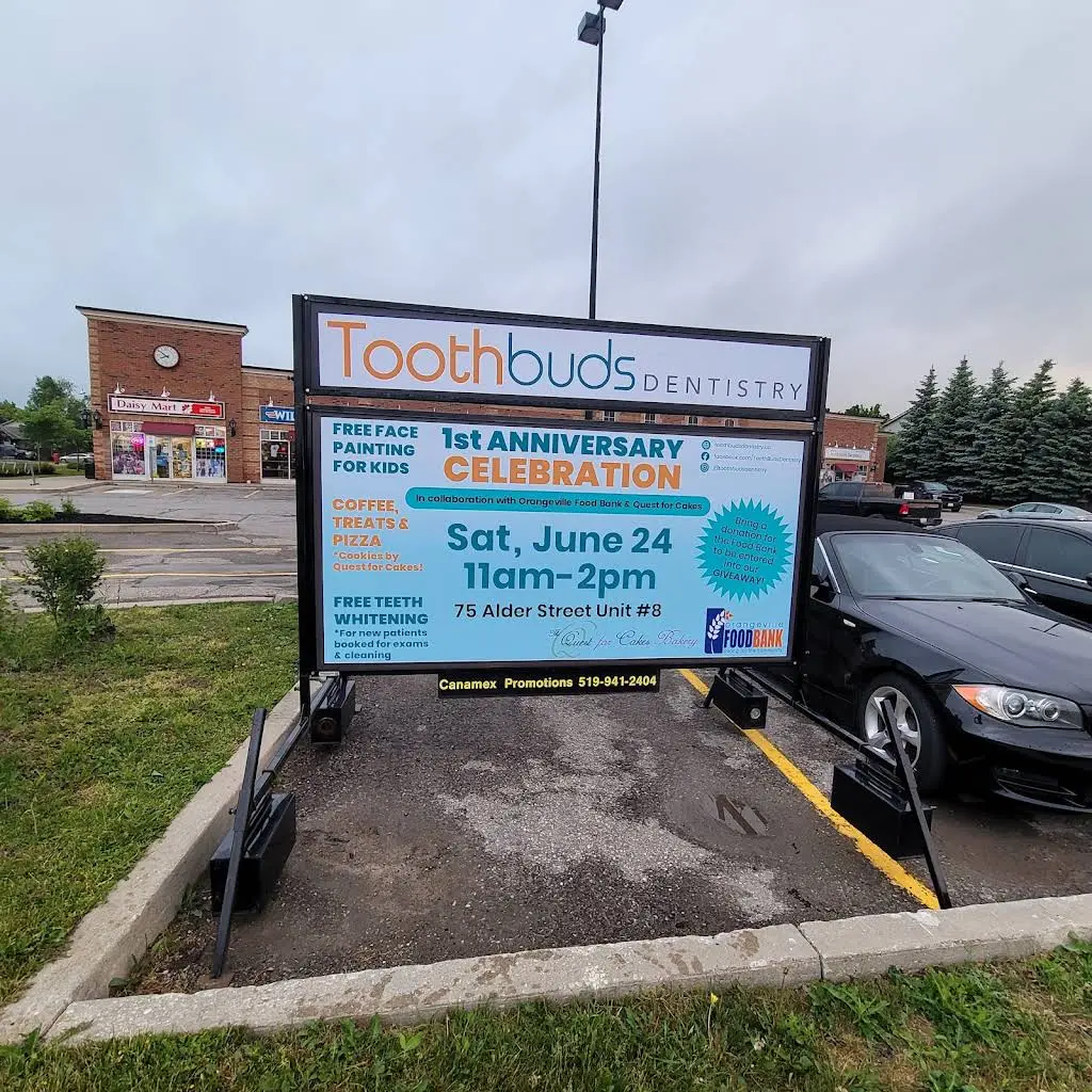 Tooth Buds Dentistry