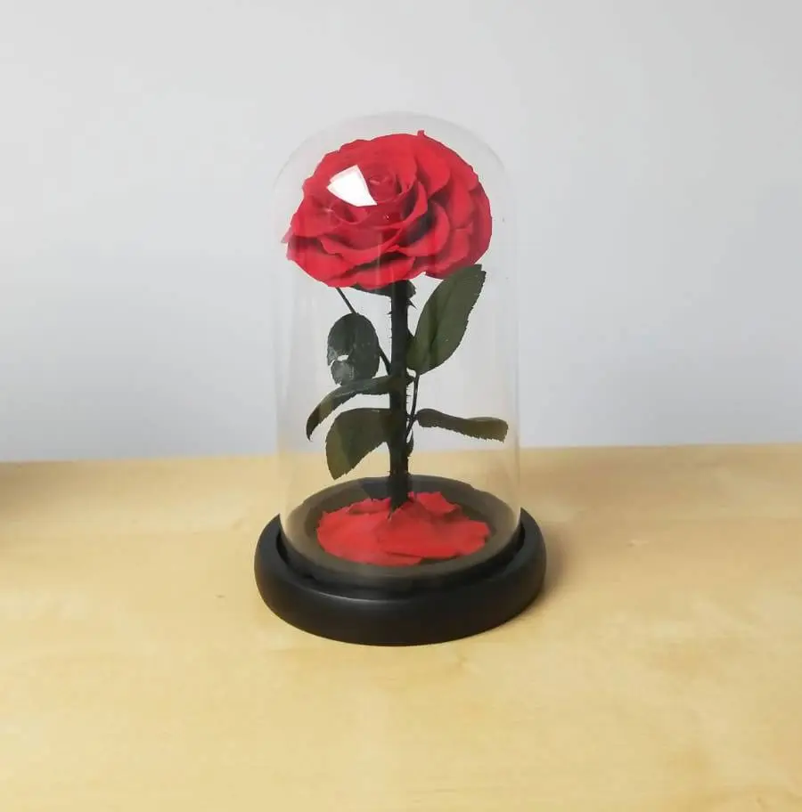 Red Rose Dentistry