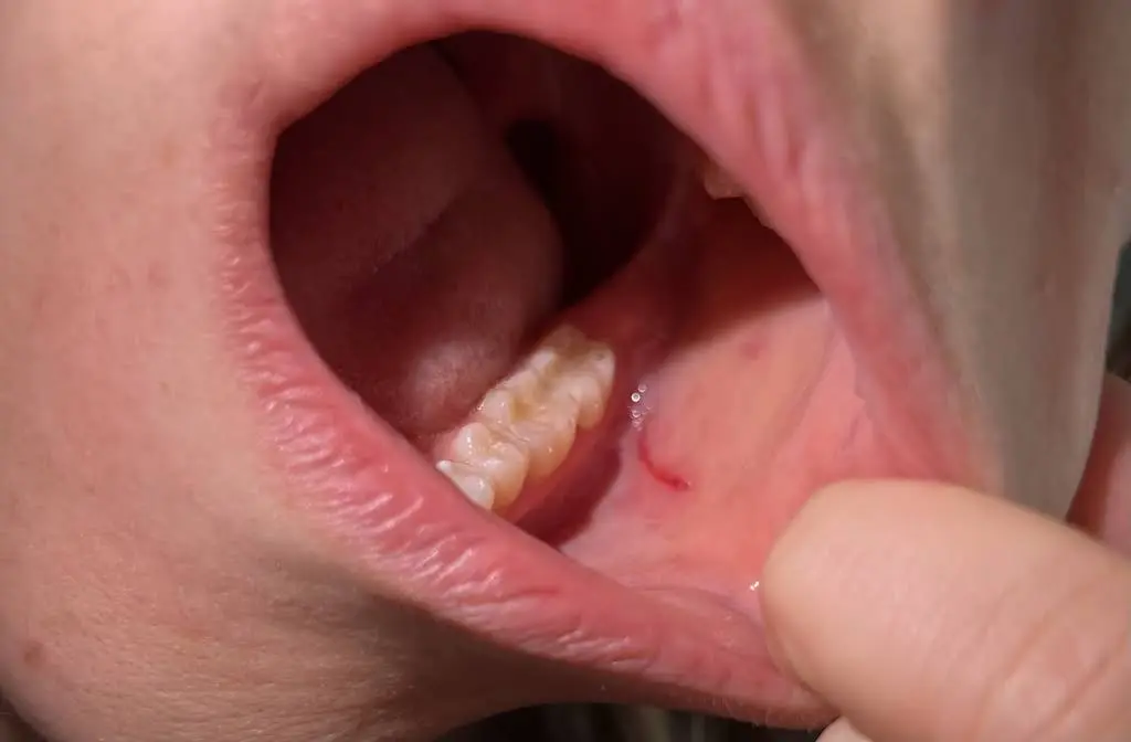 Hamilton Dental