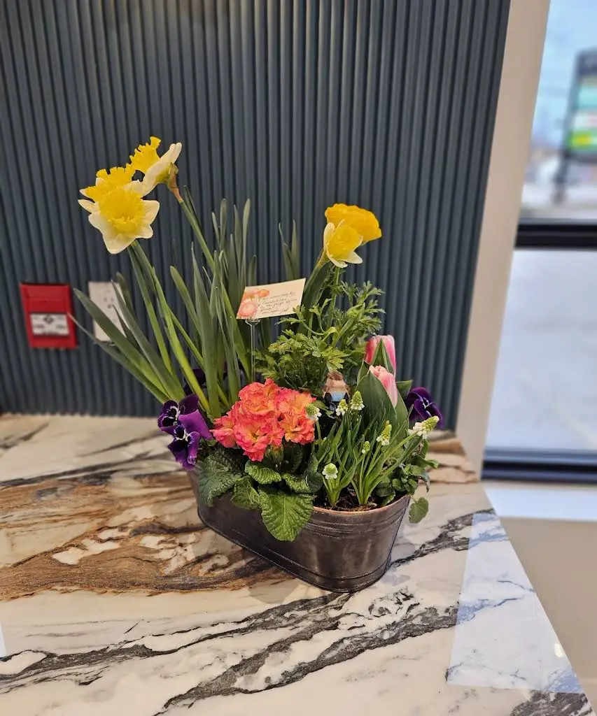 Magnolia Dental Guelph