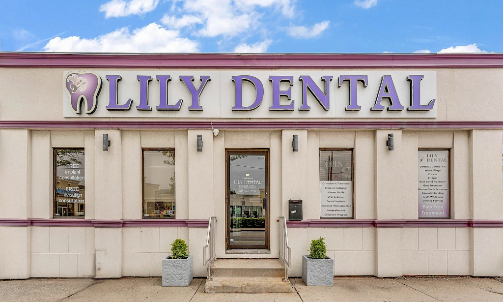 Lily Dental - Hamilton