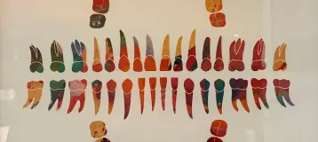 Fruitland Dentistry