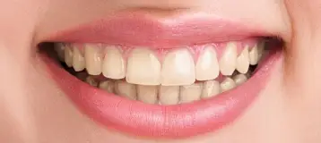 Mayfield Dental Clinic