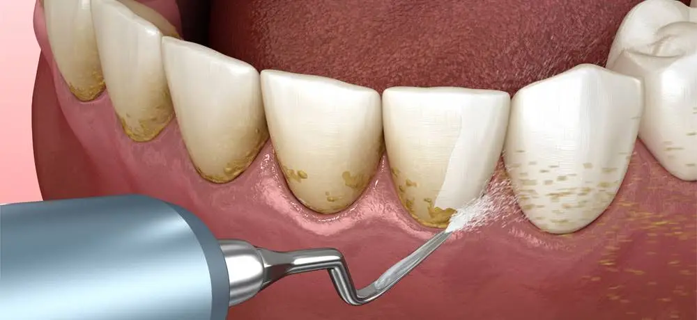 Mayfield Dental Clinic
